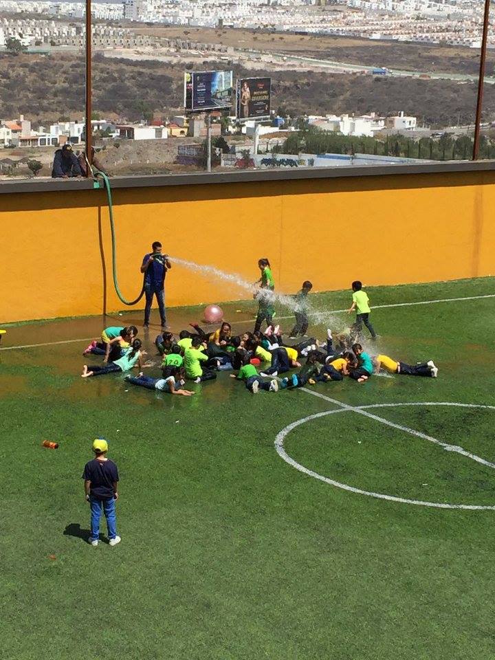 SEMANA NEWLAND
